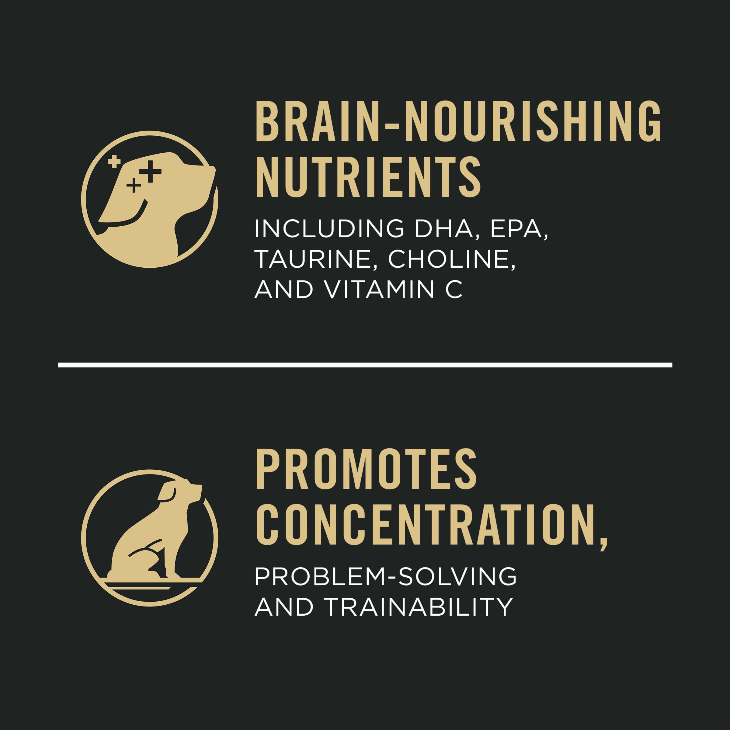 Purina Pro Plan Sport para cachorro activo, proteína alta para energía sostenida.