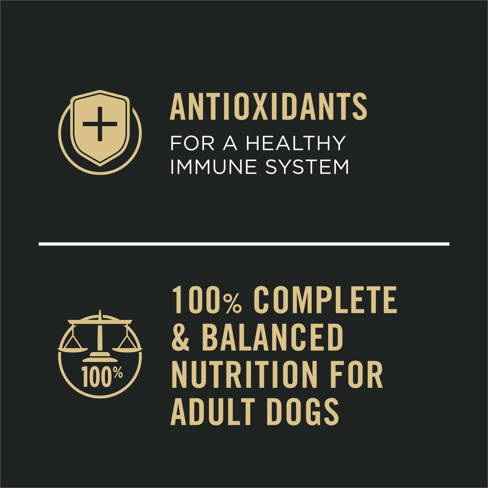 Purina Pro Plan Sport, lata de res y bison, apoyo para entrenar con energía.