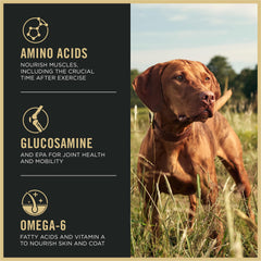 Purina Pro Plan Sport con probióticos vivos para digestión estable
