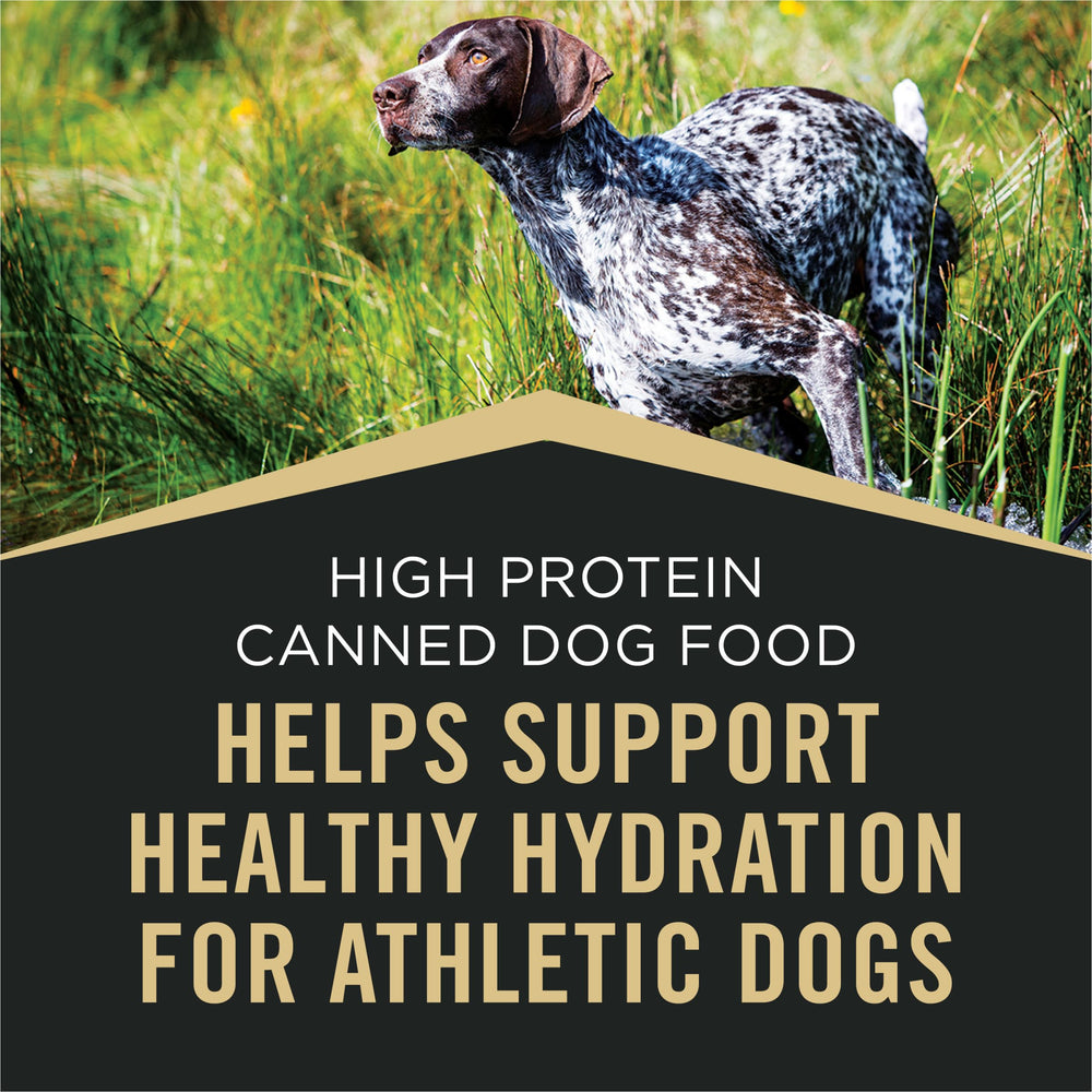 Purina Pro Plan Sport, proteína de alto rendimiento para perros activos
