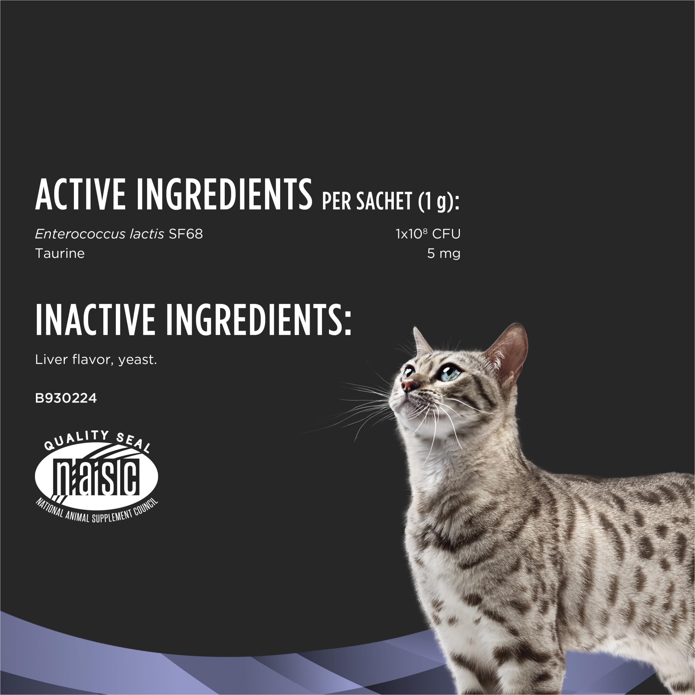 Fortiflora-gato-en-plato: gato recibiendo suplemento mientras come
