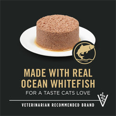 Textura cremosa de paté Purina Pro Plan con pescado blanco para digestibilidad