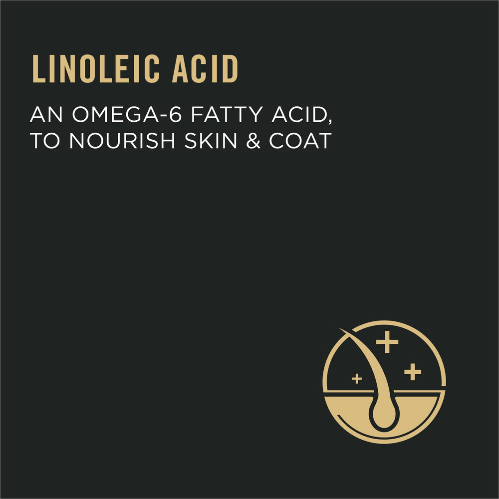 Purina Pro Plan Tracto Urinario Gatos pollo-real: proteína sabrosa para la dieta diaria