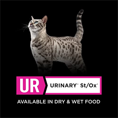 Purina Pro Plan UR urinario St/Ox, receta de pavo y vísceras sabrosa.