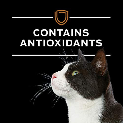 Purina Pro Plan Veterinary Diets NF apoyo renal, nutrición especializada
