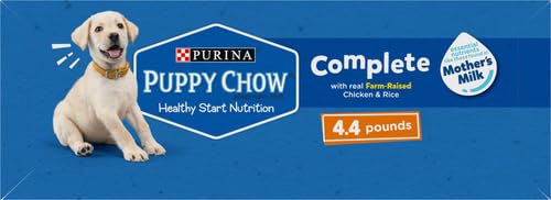 Purina Puppy Chow cachorro jugando, apoyo a energía diaria.
