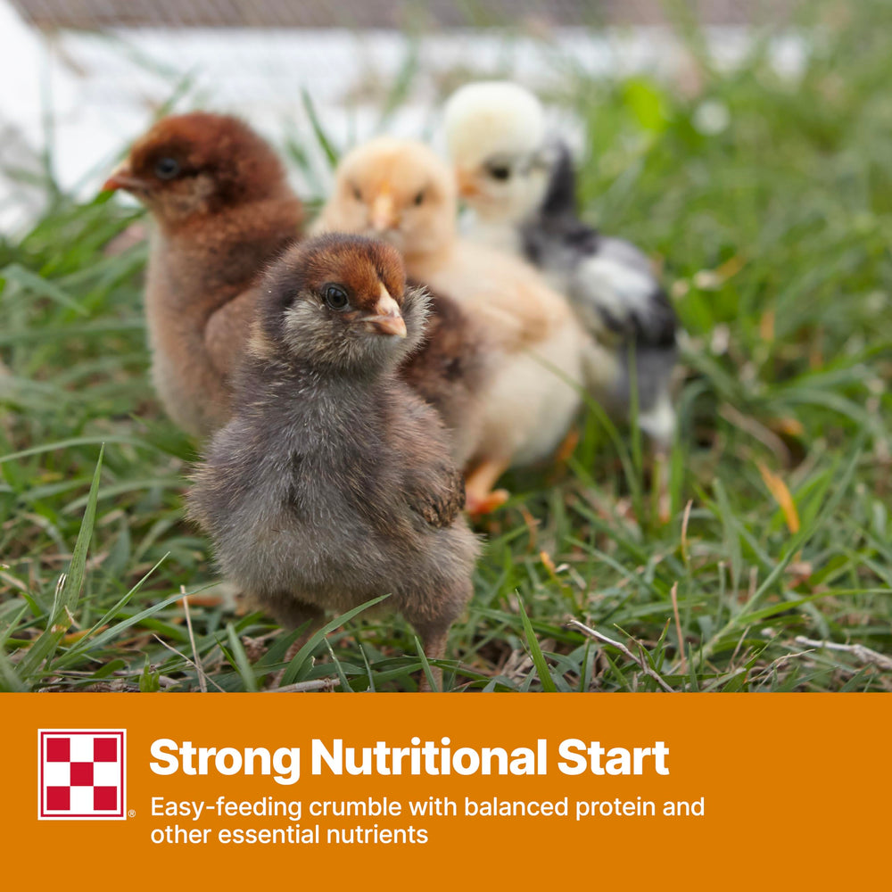 Purina Start and Grow nutrición completa para aves jóvenes en desarrollo.