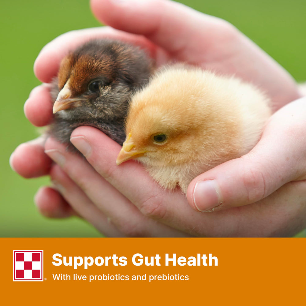 Purina Start and Grow sin medicación para crianza responsable.
