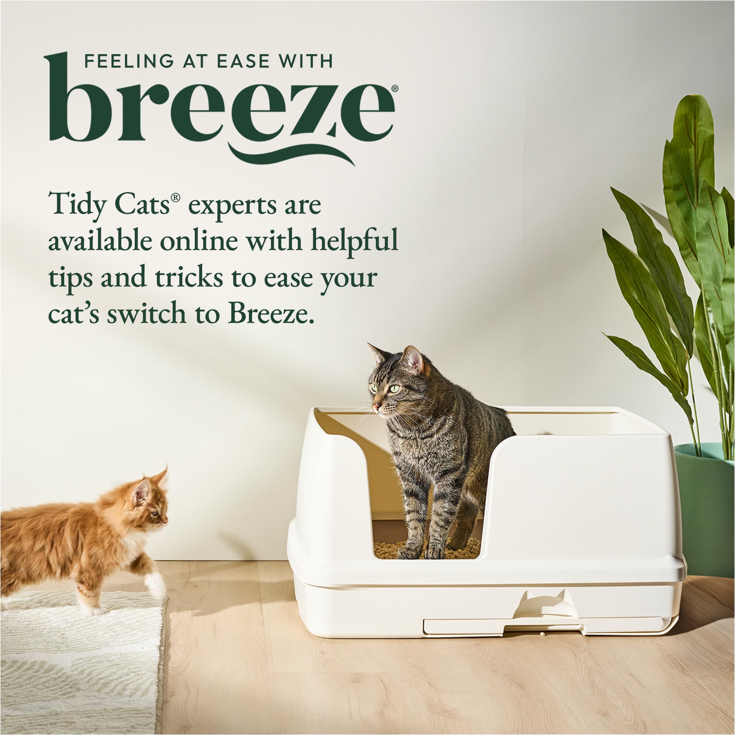 Purina Tidy Cats Breeze XL, diseño adecuado para gatos grandes.