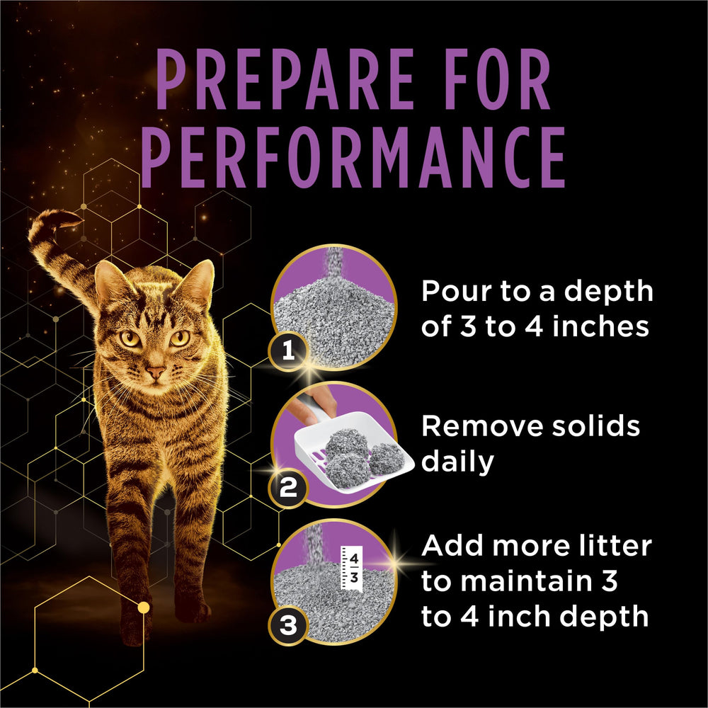 Purina Tidy Cats Performance Plus Tidy Feet: apto para hogares con varios gatos.