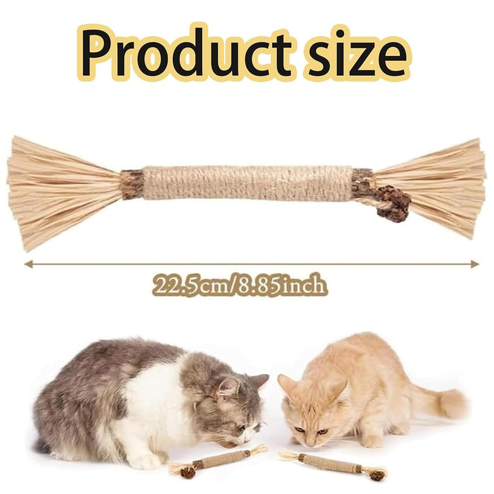 Purriq kit dental de plata natural para gatos: juego y cuidado suave