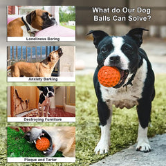 Putago bola de 3,1 pulgadas, tamaño ideal para perros medianos y grandes.