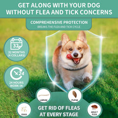 Cierre metálico resistente del collar Puyrzoe para mayor seguridad.