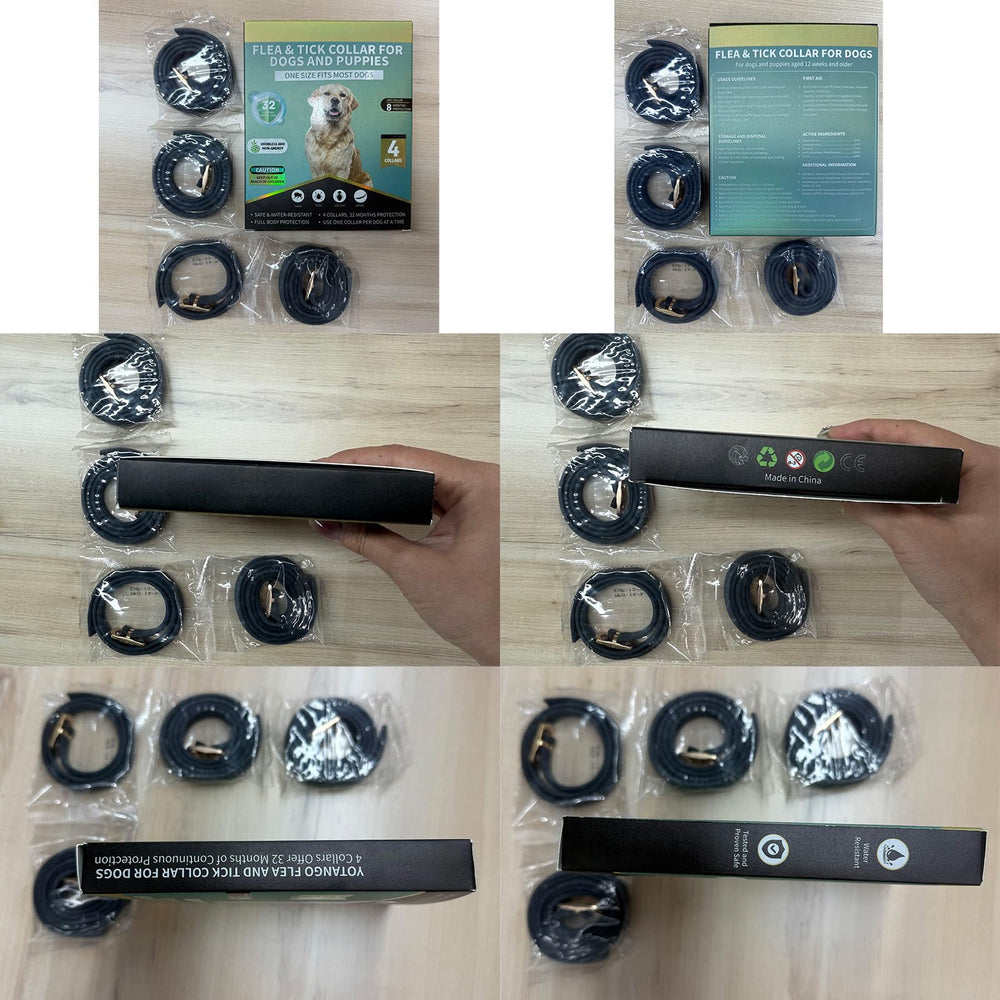 Uso diario seguro con el collar Puyrzoe para perros.