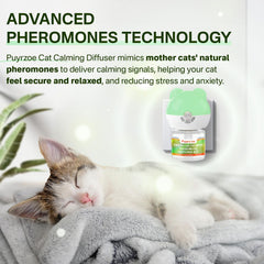 Difusor puyrzoe 24h para comodidad continua en hogares con varios gatos