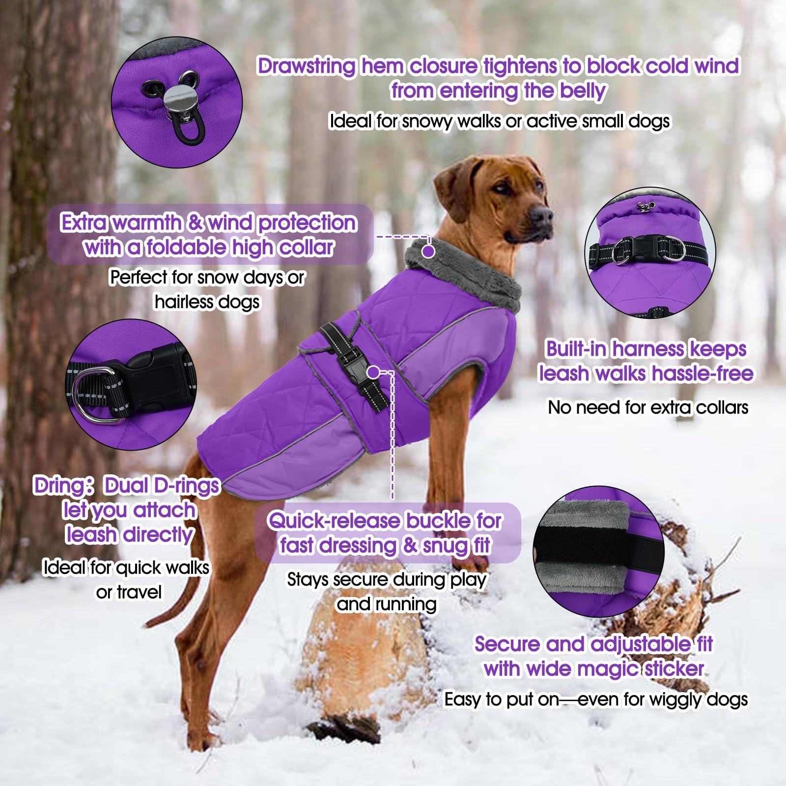 QBLEEV chaqueta impermeable para perro protege contra lluvia y viento.
