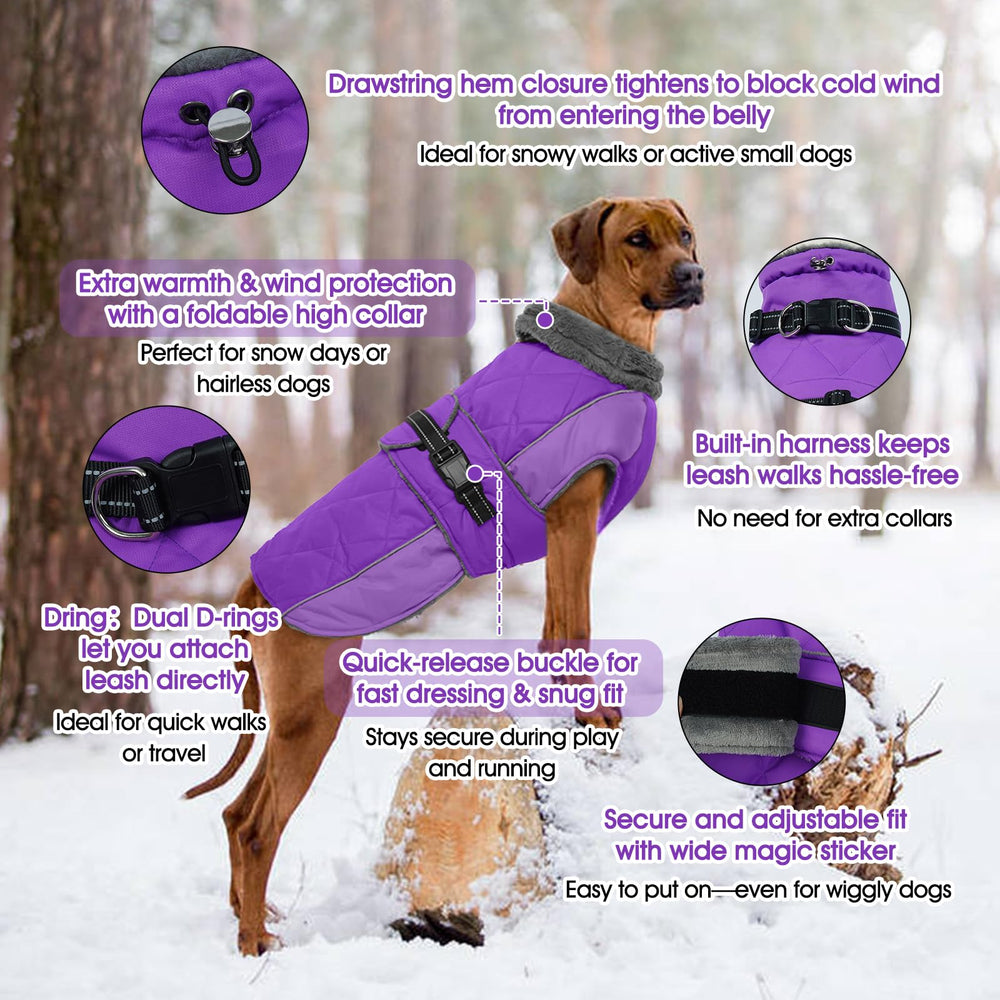 QBLEEV chaqueta impermeable para perro protege contra lluvia y viento.
