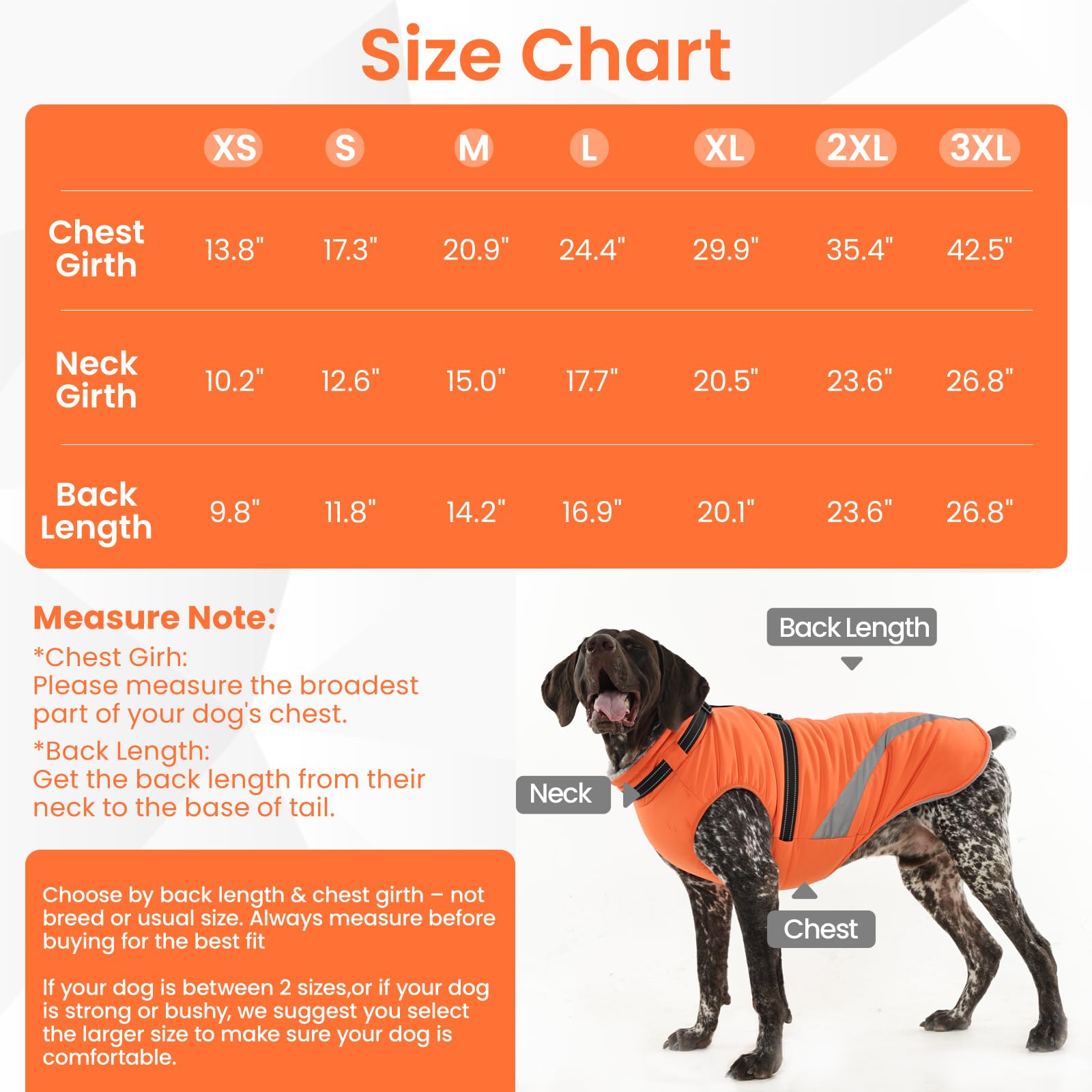 QBLEEV abrigo para perros, ideal para paseos en condiciones frías y húmedas.