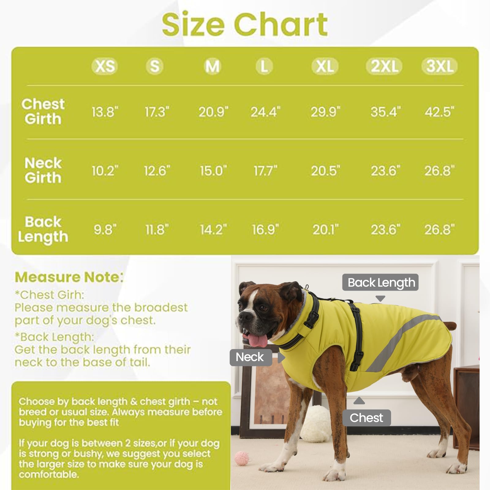 QBLEEV abrigo verde para perro, diseño práctico y cómodo.