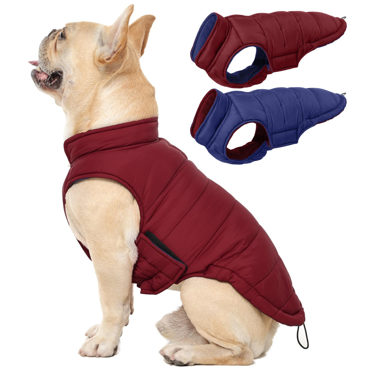 QBLEEV abrigo reversible para perro, dos estilos para combinar conjuntos diarios