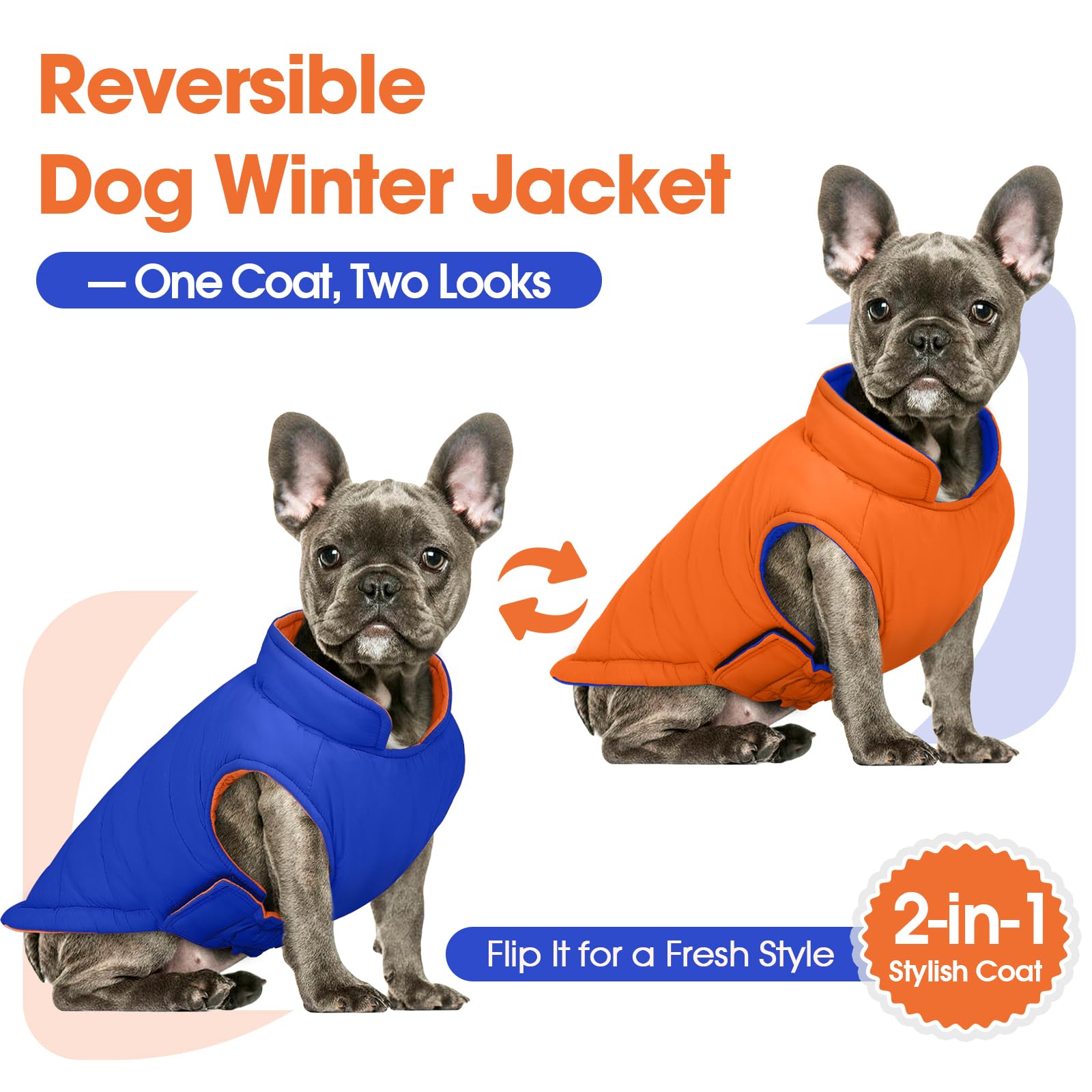Capa impermeable QBLEEV protege a tu perro de lluvia y viento.