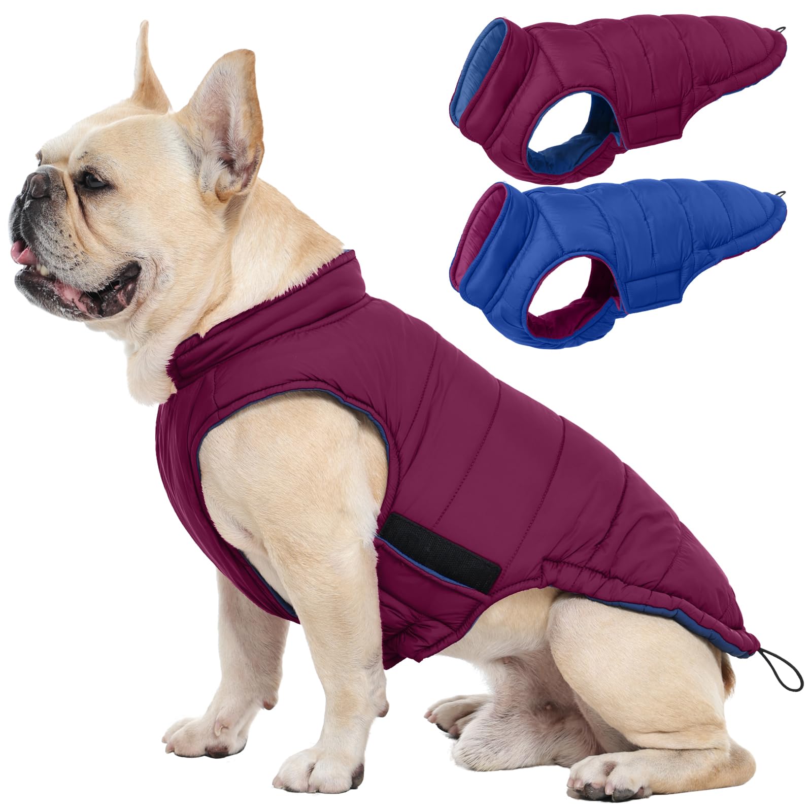 QBLEEV cazadora perro inversa dos-lados: dos estilos versátiles para tu mascota.