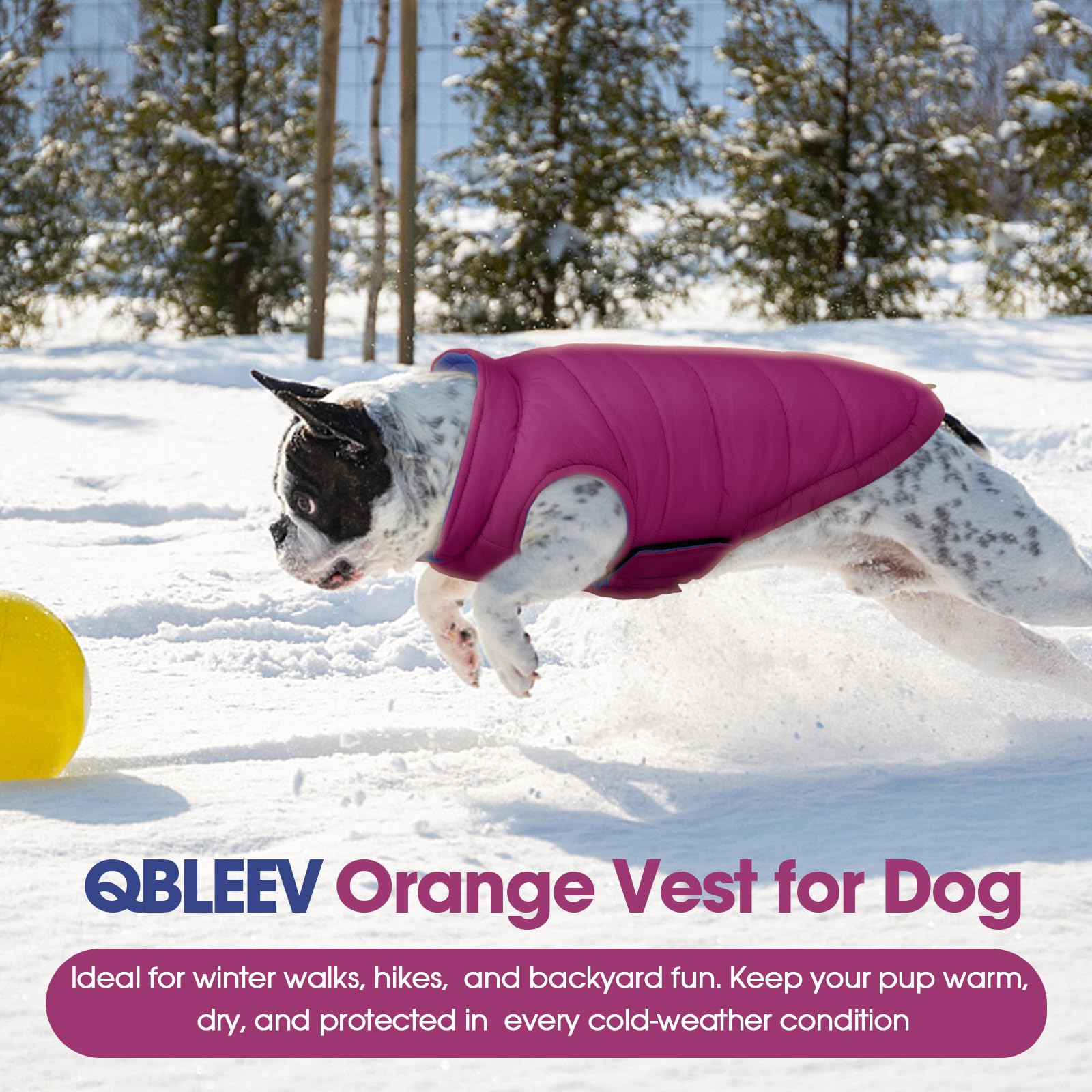 QBLEEV chaleco acolchado de dos tonos, vista frontal, ideal para perros grandes.