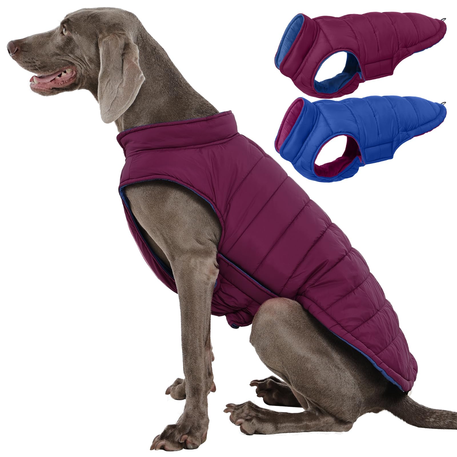 QBLEEV chaleco para perro reversible, vista frontal, dos estilos para salidas diarias.