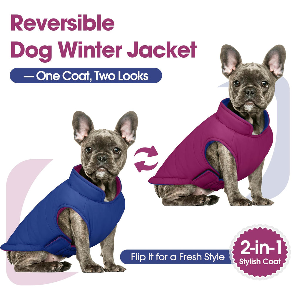 QBLEEV chaleco para perro reversible, vista trasera, dos colores versátiles para combinar atuendos.