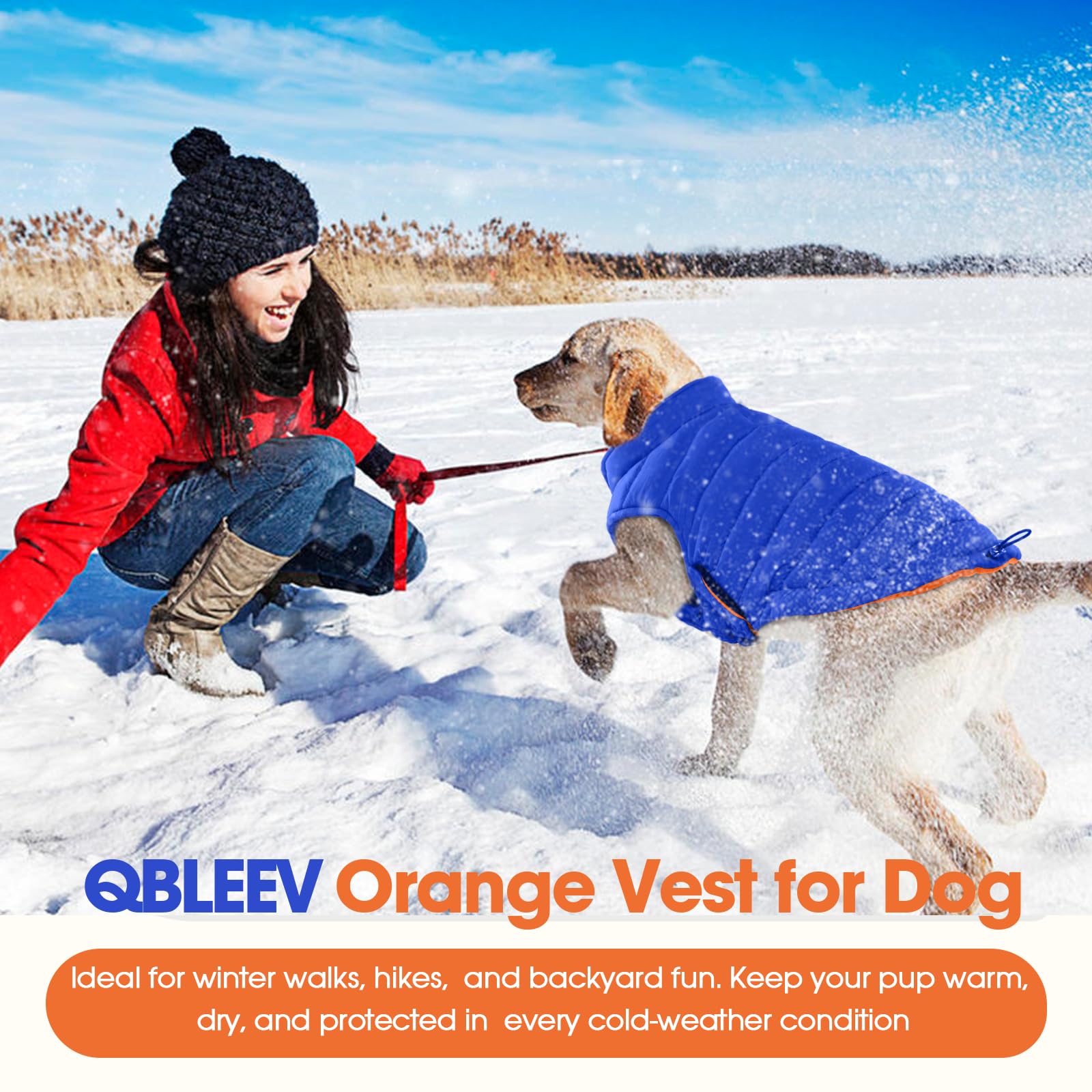 Tallaje 3XL de QBLEEV para razas grandes como Labrador o Gran Danés.