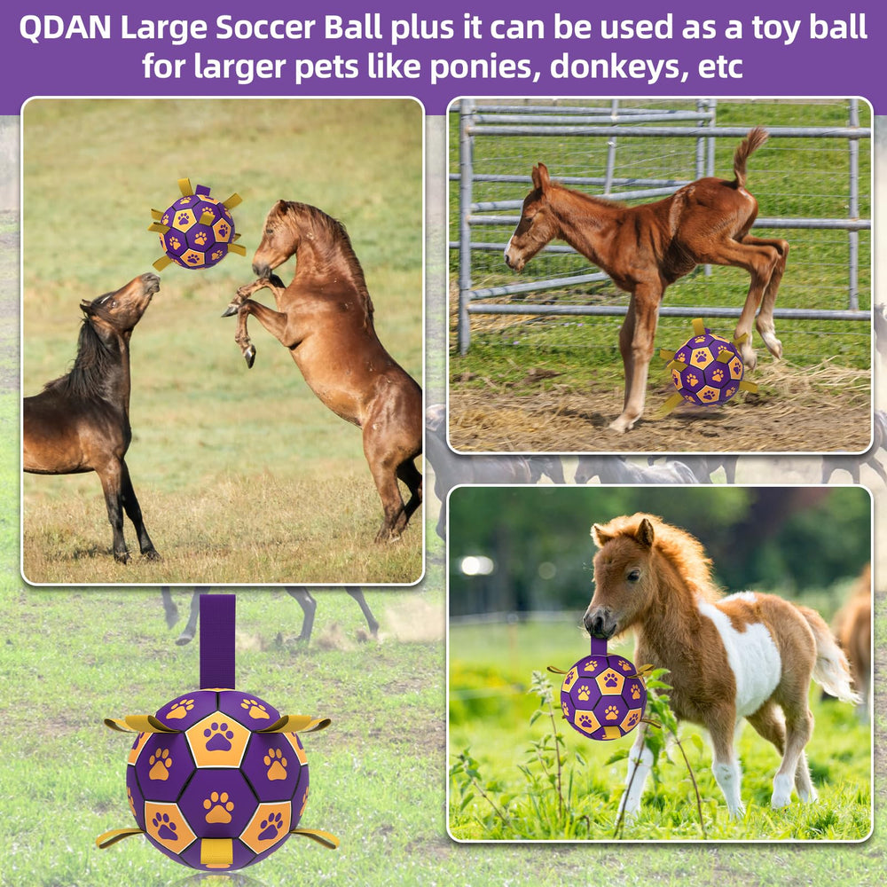 QDAN bola-futbol-perro-grande-9-pulgadas, tamaño adecuado para razas grandes.