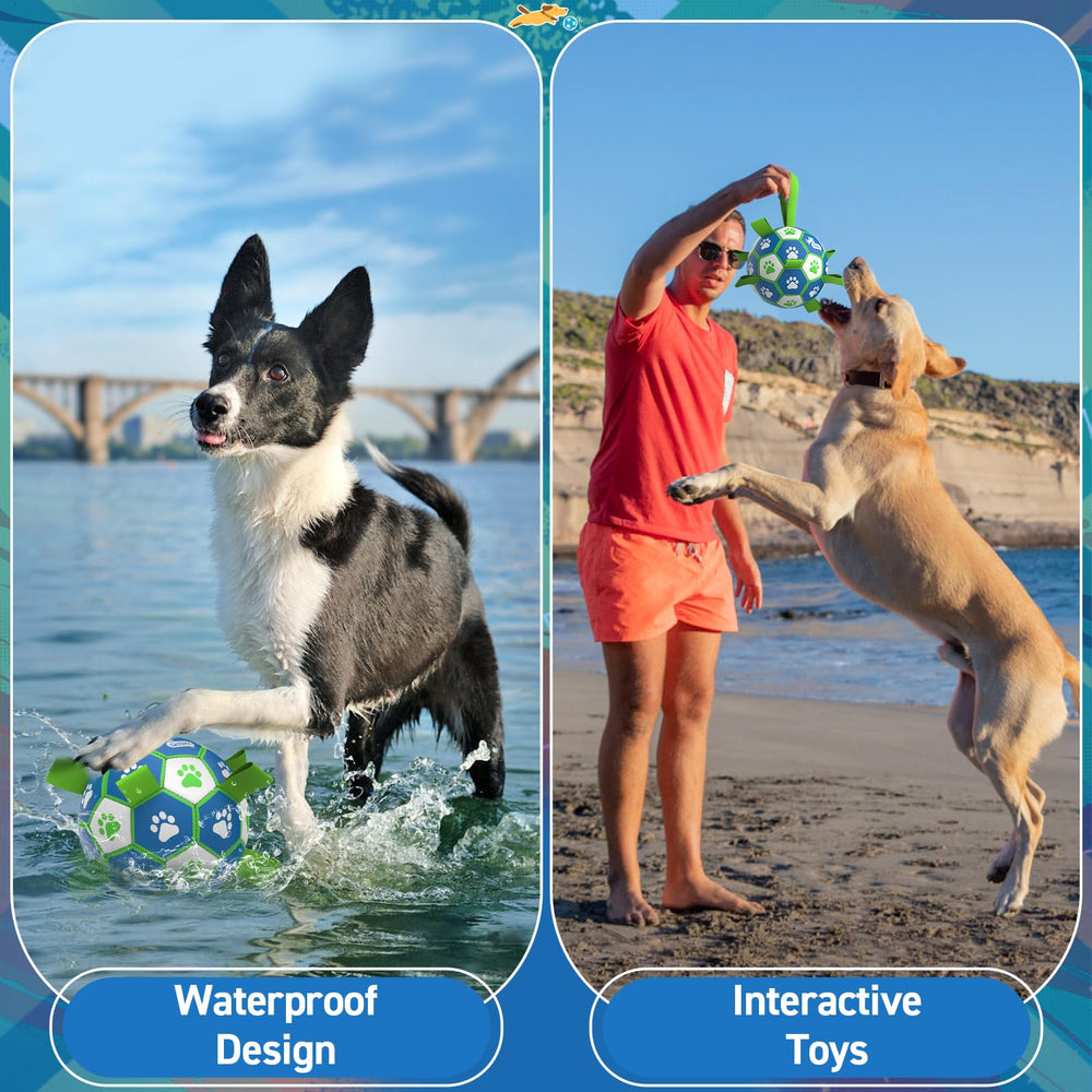 Bola QDAN para perros con rebote impredecible para diversión al aire libre.
