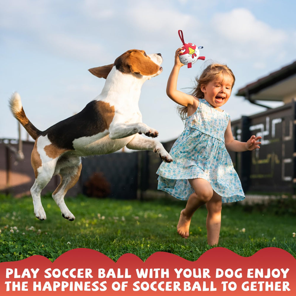 QDAN bola-perro juego-agua, resistente y ligera para piscina