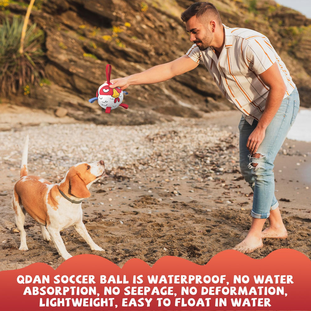 QDAN bola-perro uso-playa-piscina, juguete acuático flotante