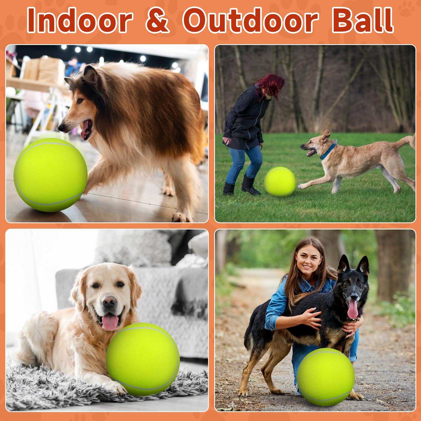 QDAN bola de goma natural para entrenamiento y diversión de perros
