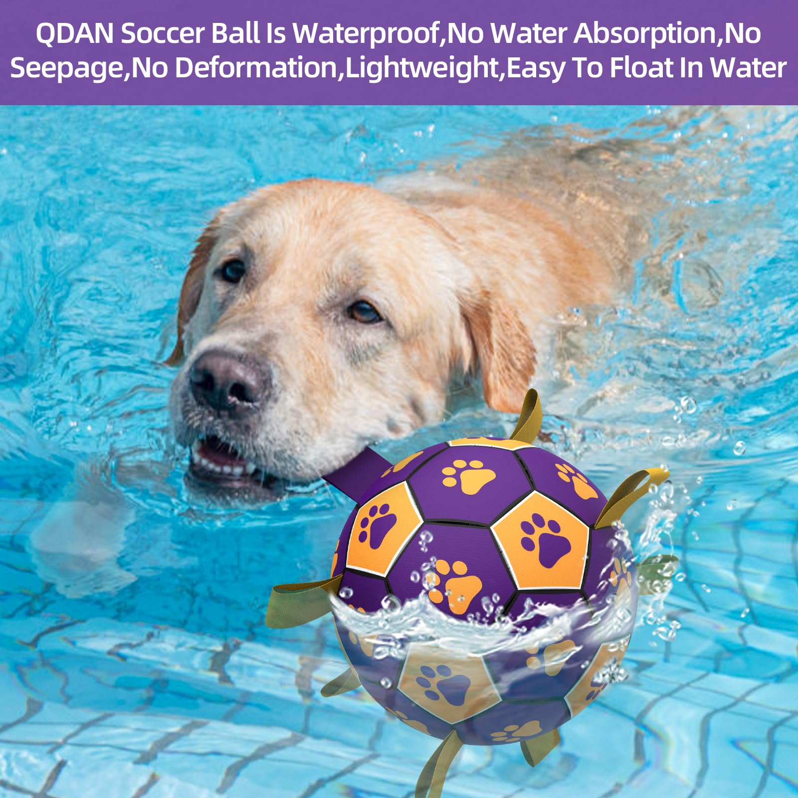 QDAN bomba-incluida-bola-perro-grande, inflado rápido y sencillo.