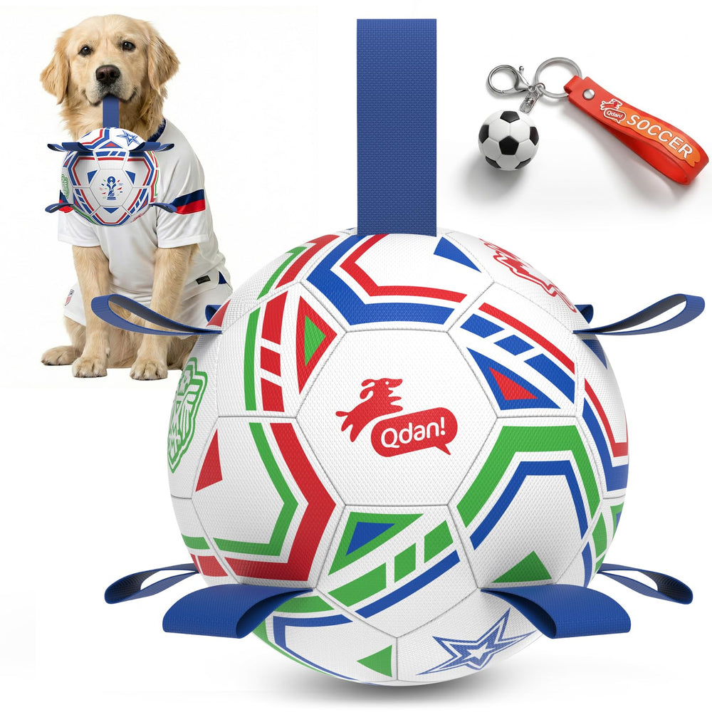 QDAN Pelota de fútbol para perros interactiva para juego y búsqueda.