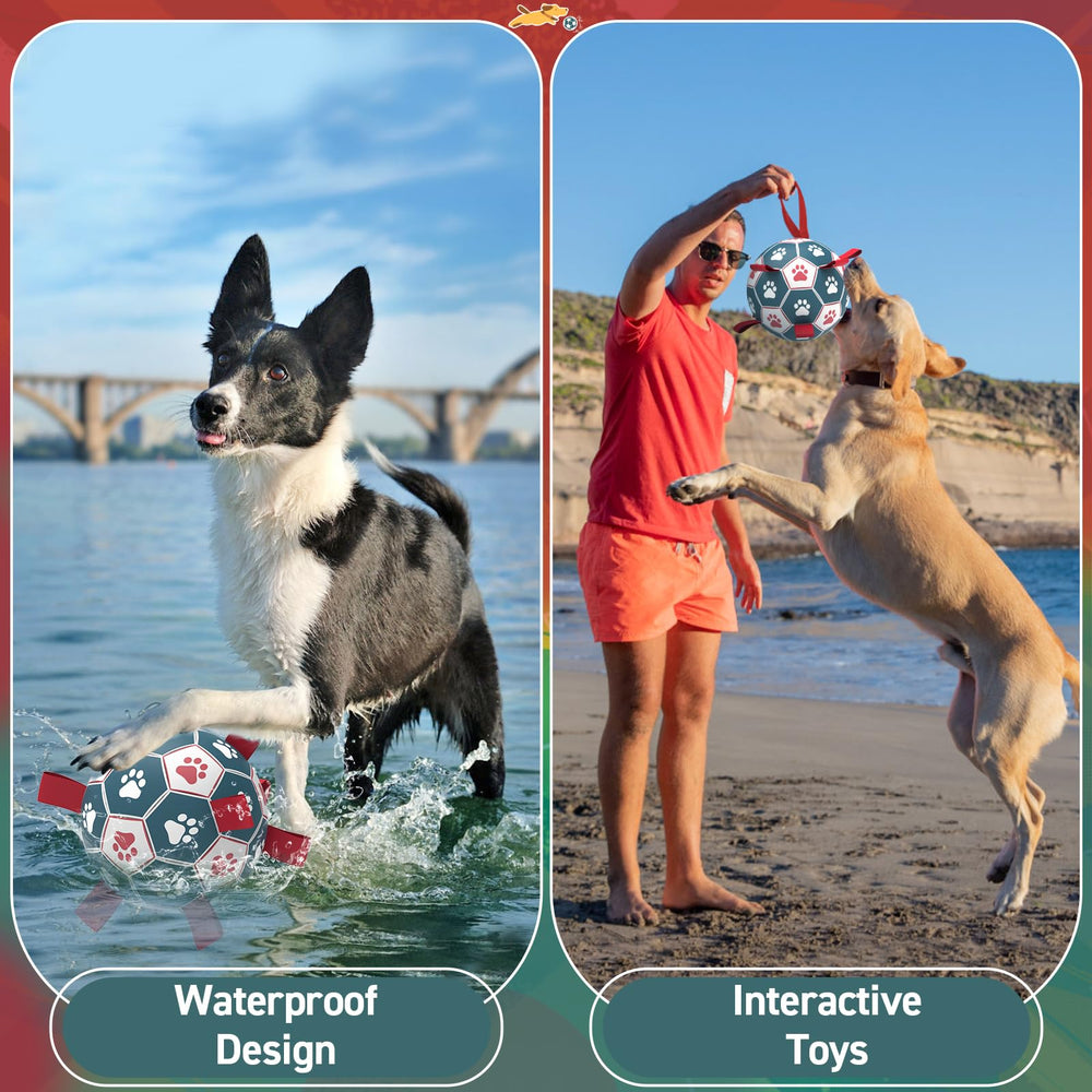 QDAN pelota interactiva para perros, juego en interior y exterior
