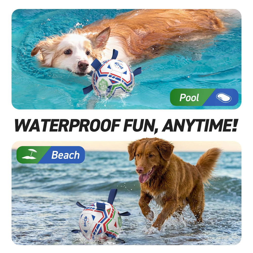 QDAN Pelota para perros resistente al agua, ideal para playa o piscina.