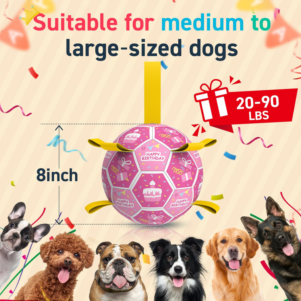 QDAN regalo-perro-cumpleanos ideal para sorprender y motivar al compañero.