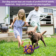 Balón para perro con asas QDAN, facilita agarre y juego interactivo.