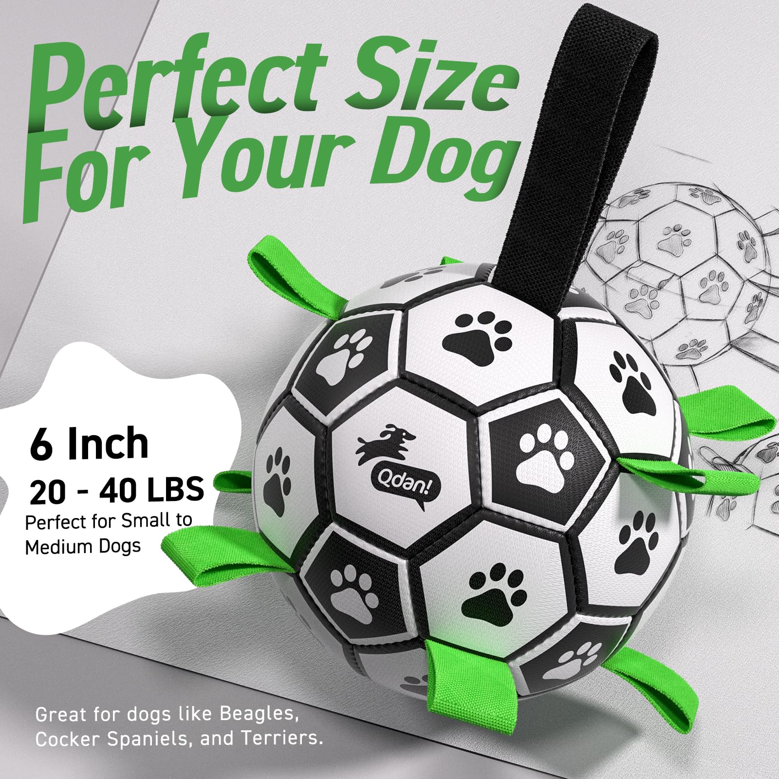 QDAN bola de 6 pulgadas ideal para perros pequeños y medianos