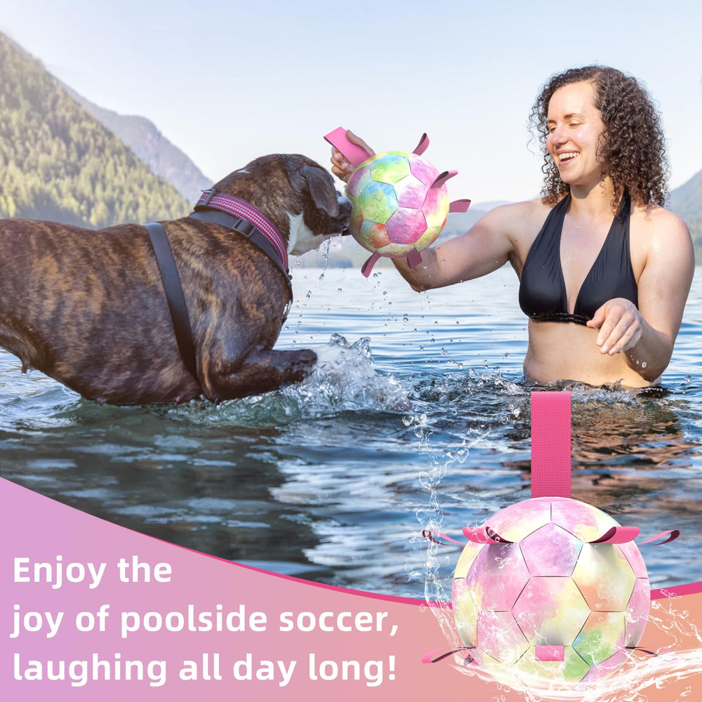 QDAN bola para perros con tiras de nylon, facilita atrapar, lanzar y recoger