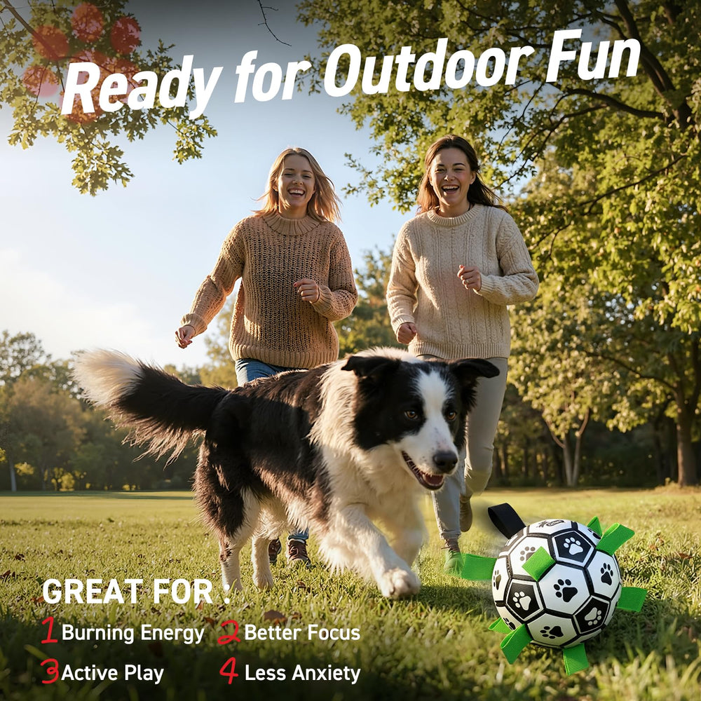 QDAN bola de fútbol para perros con agarre para recoger y lanzar