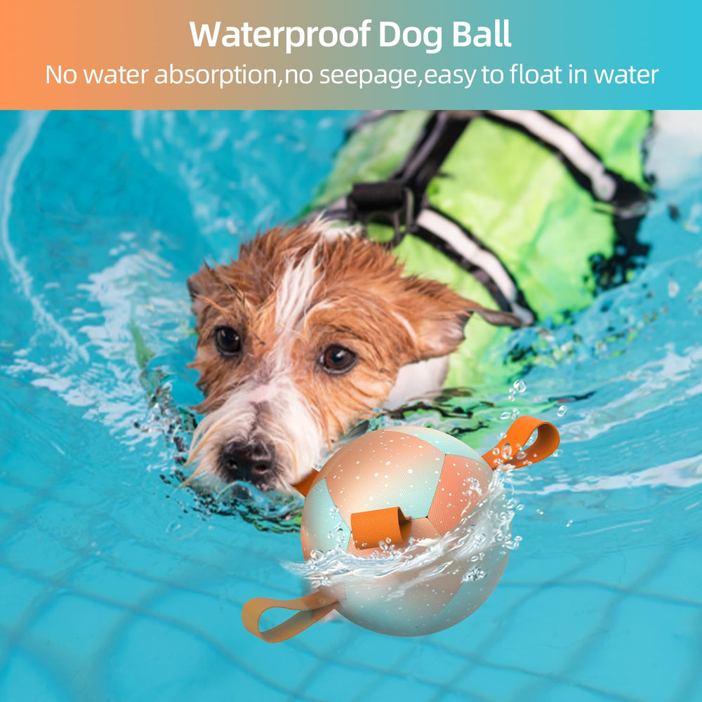 QDAN pelota para piscina, diversión acuática con rebote impredecible para perseguir.