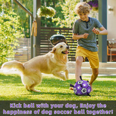 QDAN bola de fútbol para perros, juguete acuático ideal para piscina o playa