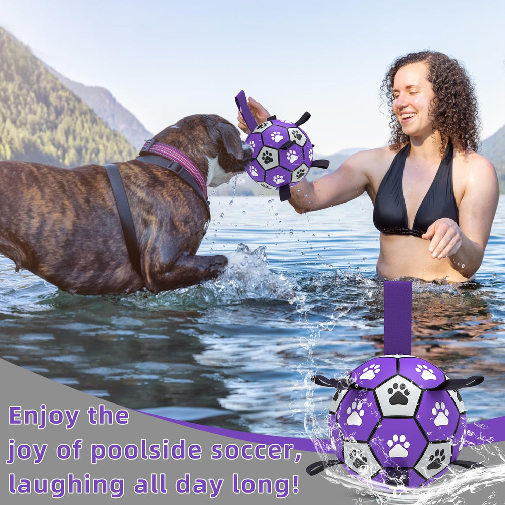 QDAN bola para perros grandes, perfecta para patear y traer