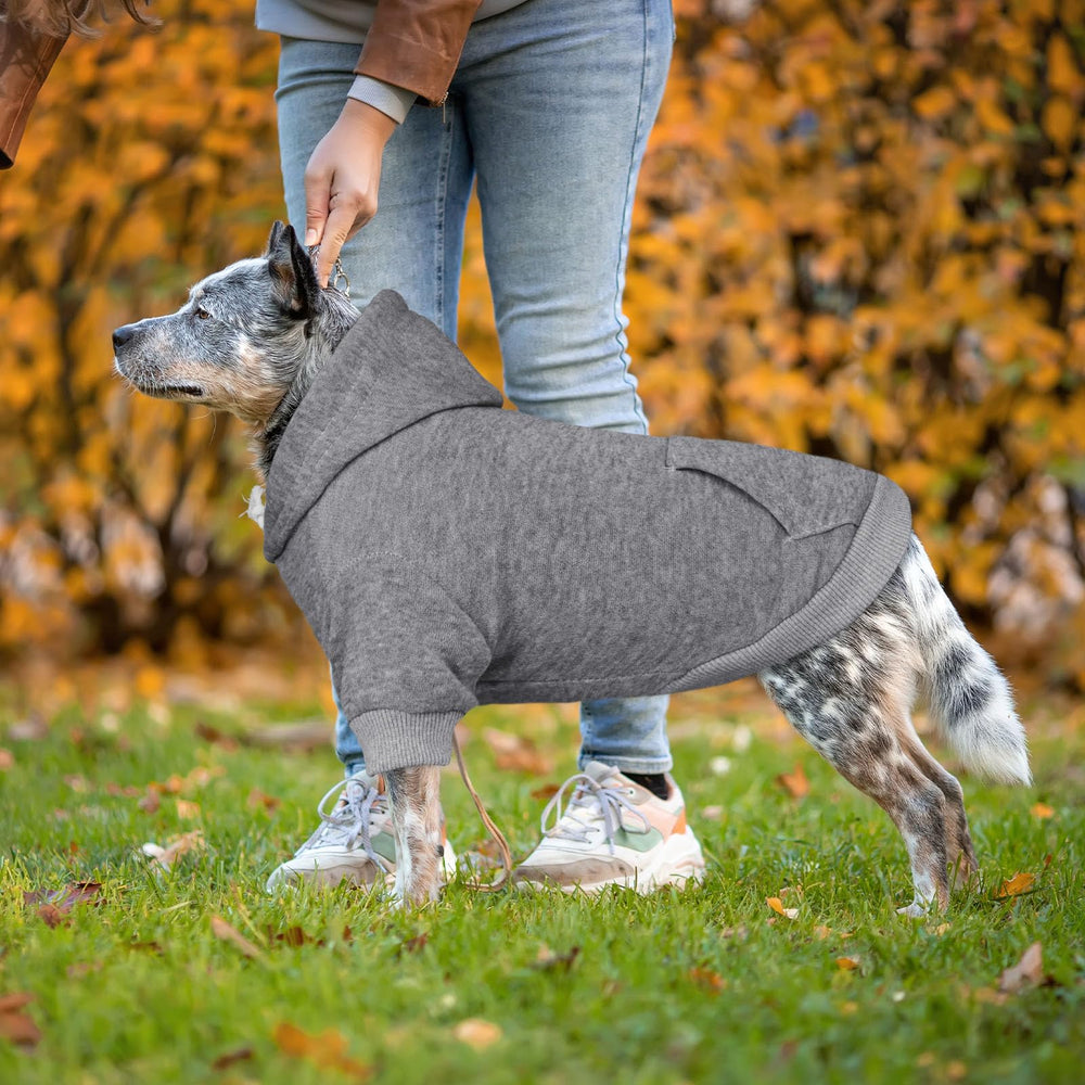Guía de talla QDYU para ajuste perfecto en paseos.