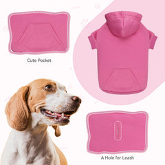 Perro con sudadera rosa QDYU en exterior, días frescos