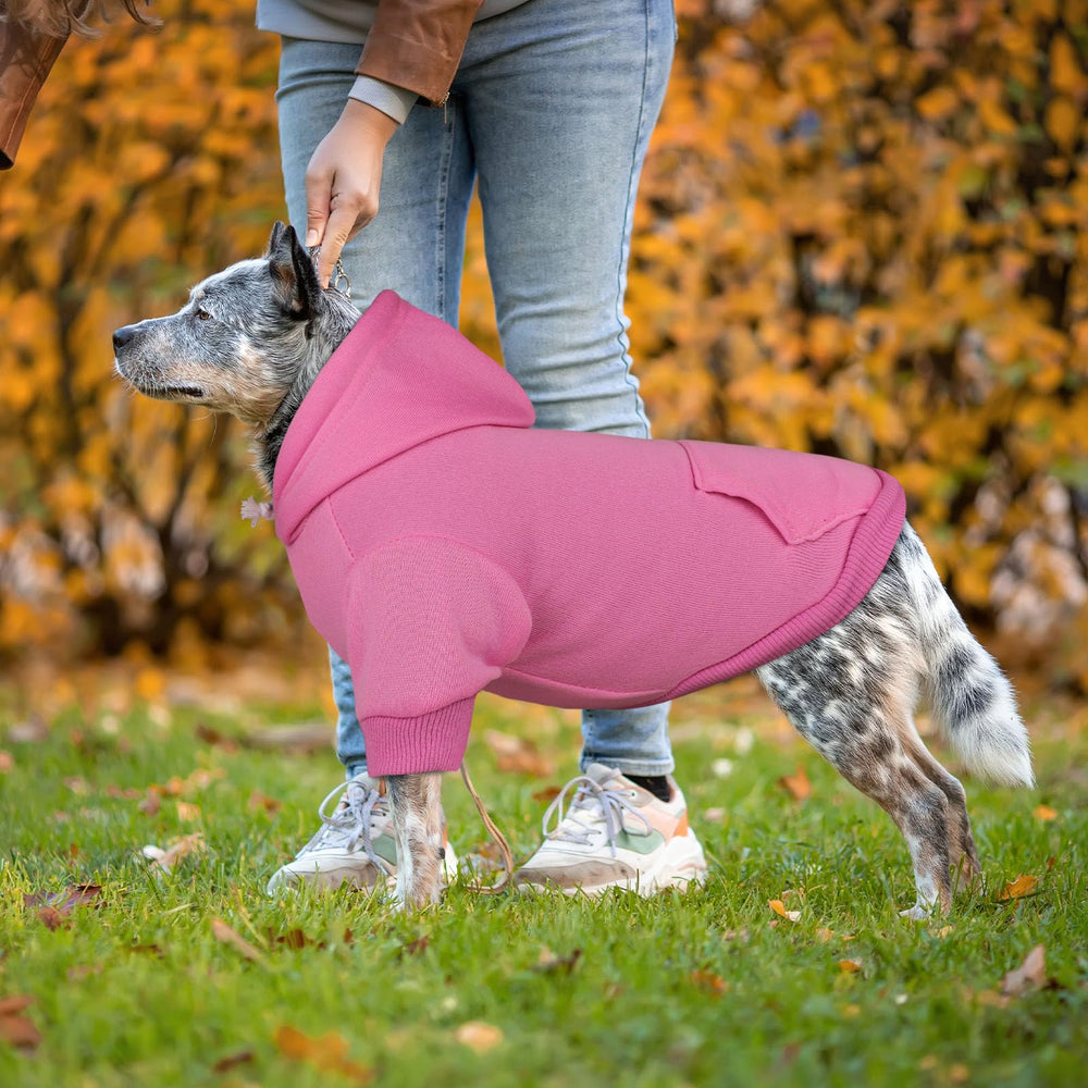 Vista trasera de la sudadera QDYU rosa XL, diseño liso